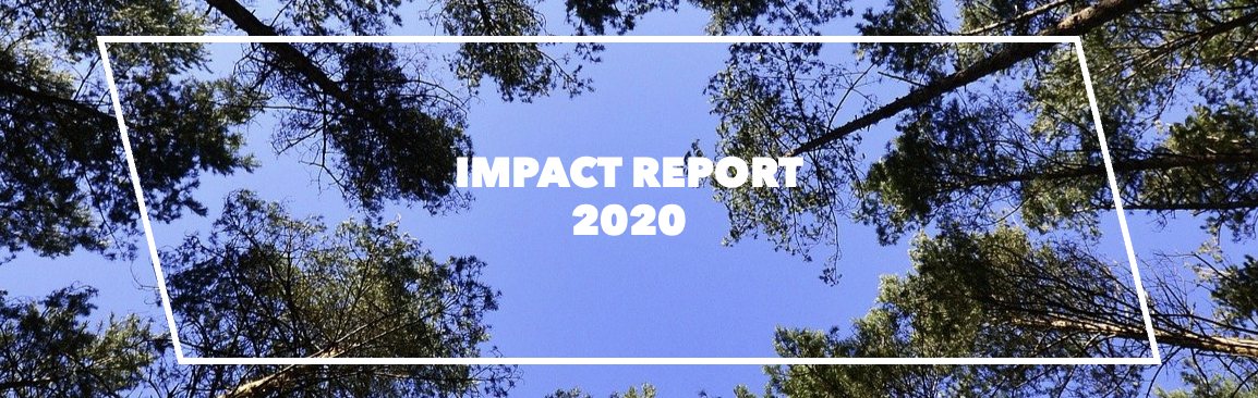Capagro Impact Report 2020 Title