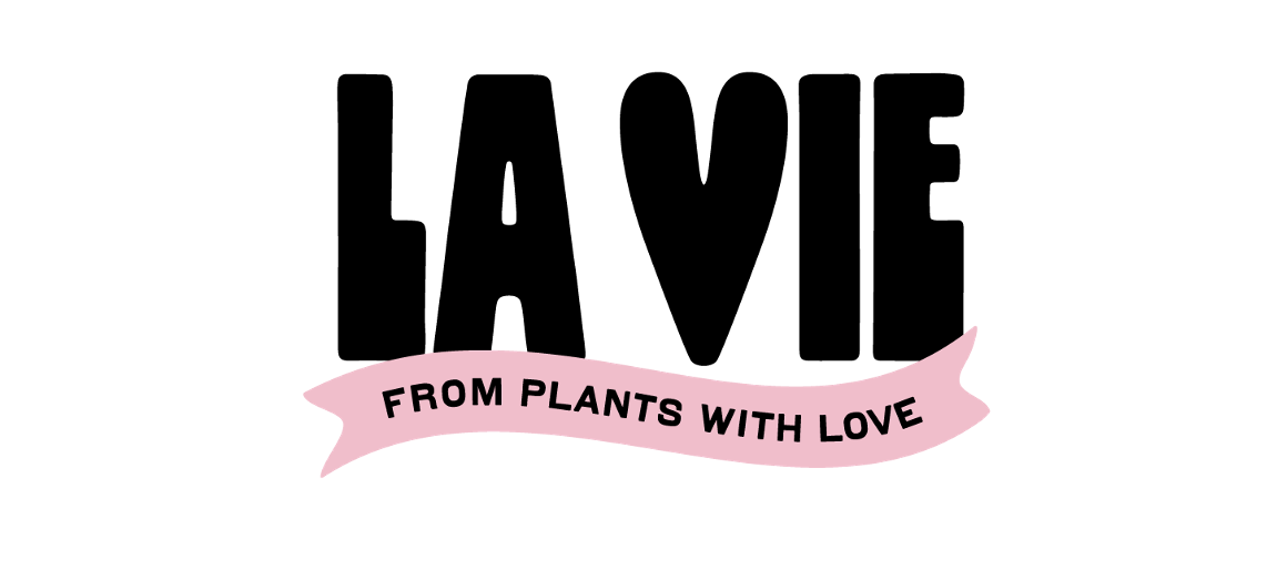 Capture d’écran 2026-03-25 à 16.52.57